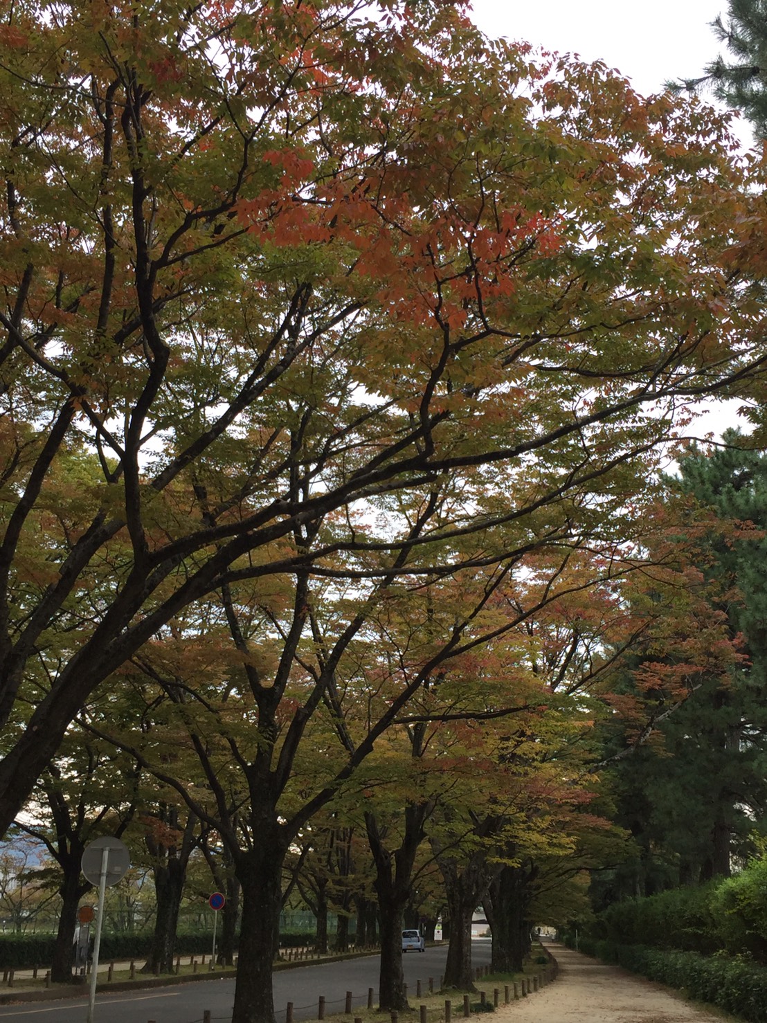 20161101183235