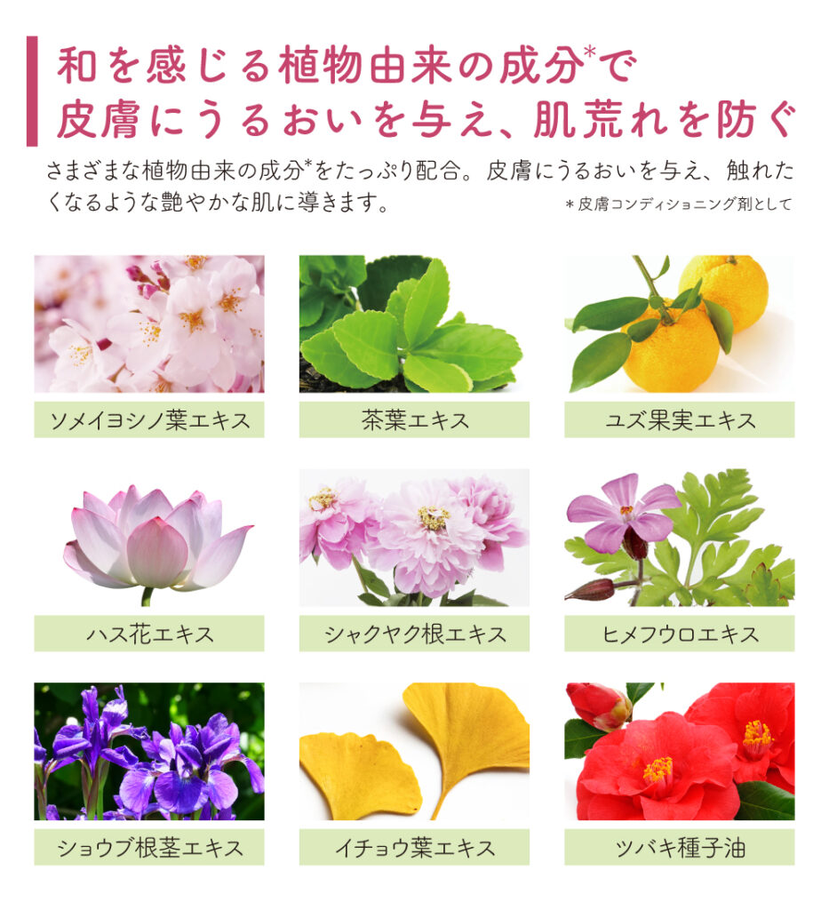 植物成分